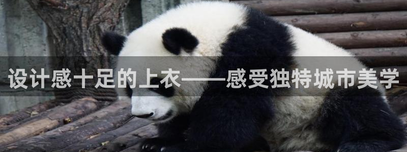 ZL尊龙凯时集团
