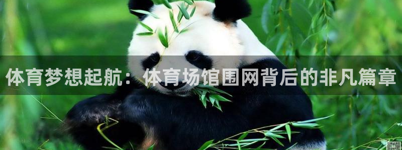 尊龙凯时可以提现吗