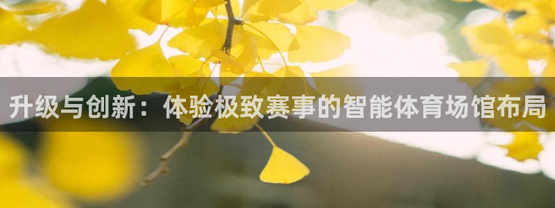 尊龙王t400