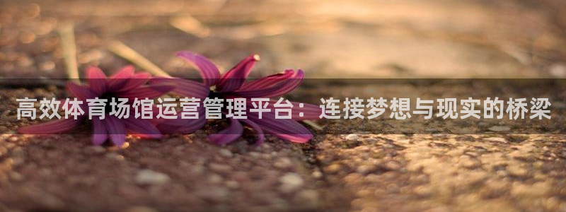 尊龙 下载