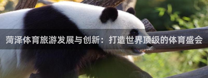 尊龙人生就是博l