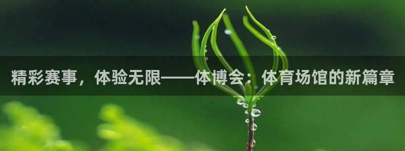 尊龙凯时和九游会哪个平台好一点