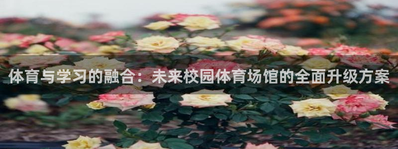 尊龙官网首页
