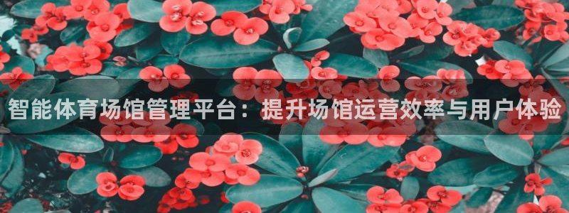 尊龙凯时国际