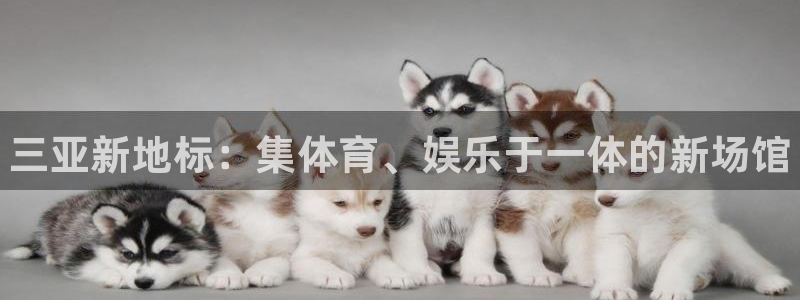 尊龙凯时怎么样没听说过