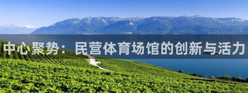 尊龙凯时干什么的