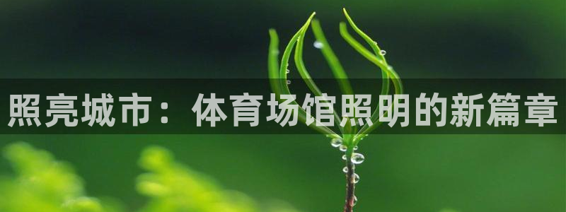 尊龙eight is enough