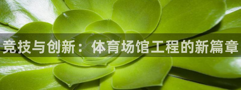 尊龙凯时不朽情缘