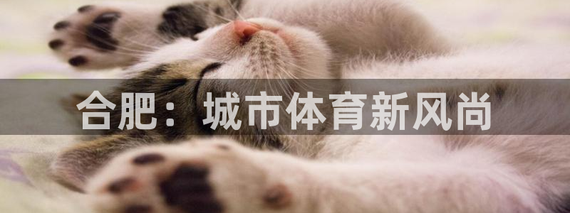 尊龙凯时干什么的