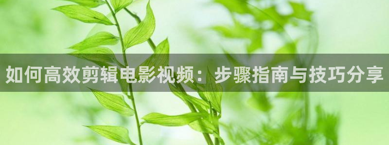 丫丫影院在线播放电视剧：如何高效剪辑电影视频：步骤指南与技巧分享