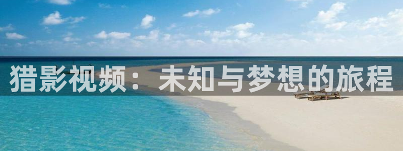 丫丫6080：猎影视频：未知与梦想的旅程