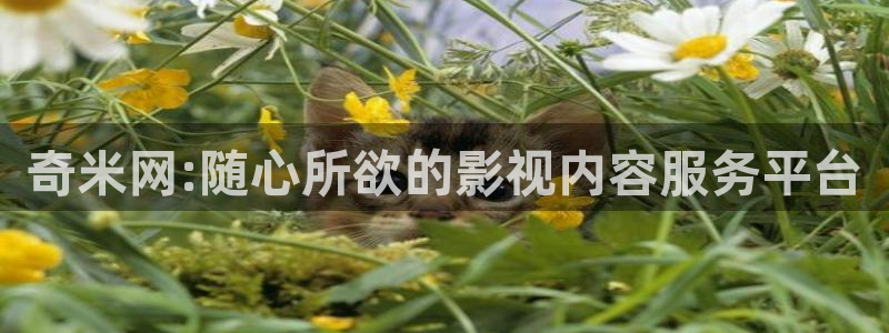 光棍影院丫丫11111：奇米网:随心所欲的影视内容服务平台