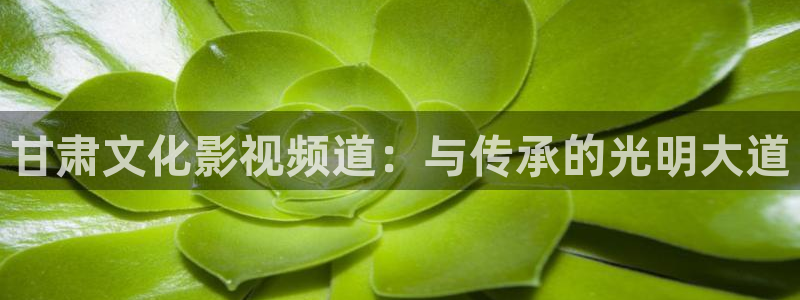 丫丫4480私人影院