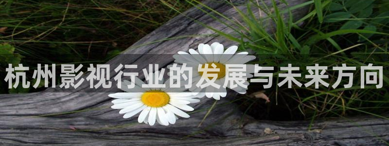 丫丫4480：杭州影视行业的发展与未来方向