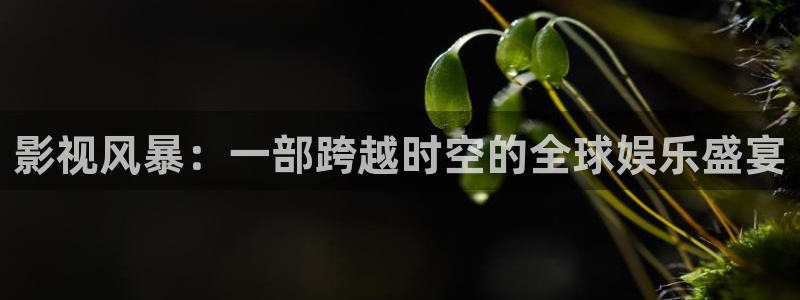 丫丫光棍影院：影视风暴：一部跨越时空的全球娱乐盛宴