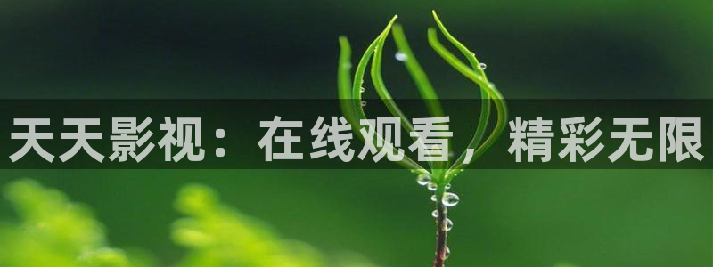 丫丫4480私人影院免费
