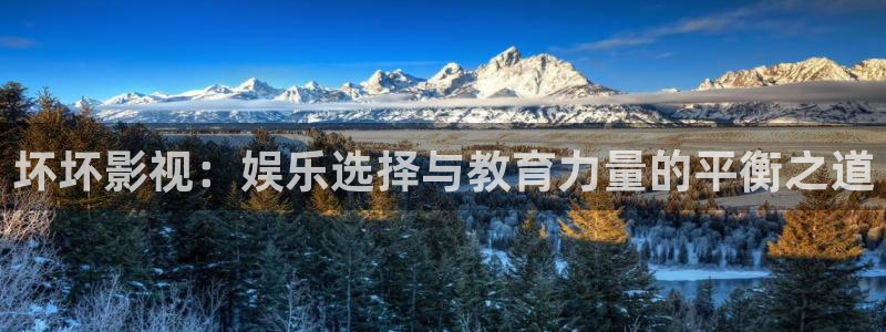 丫丫4480私人影院：坏坏影视：娱乐选择与教育力量的平衡之道